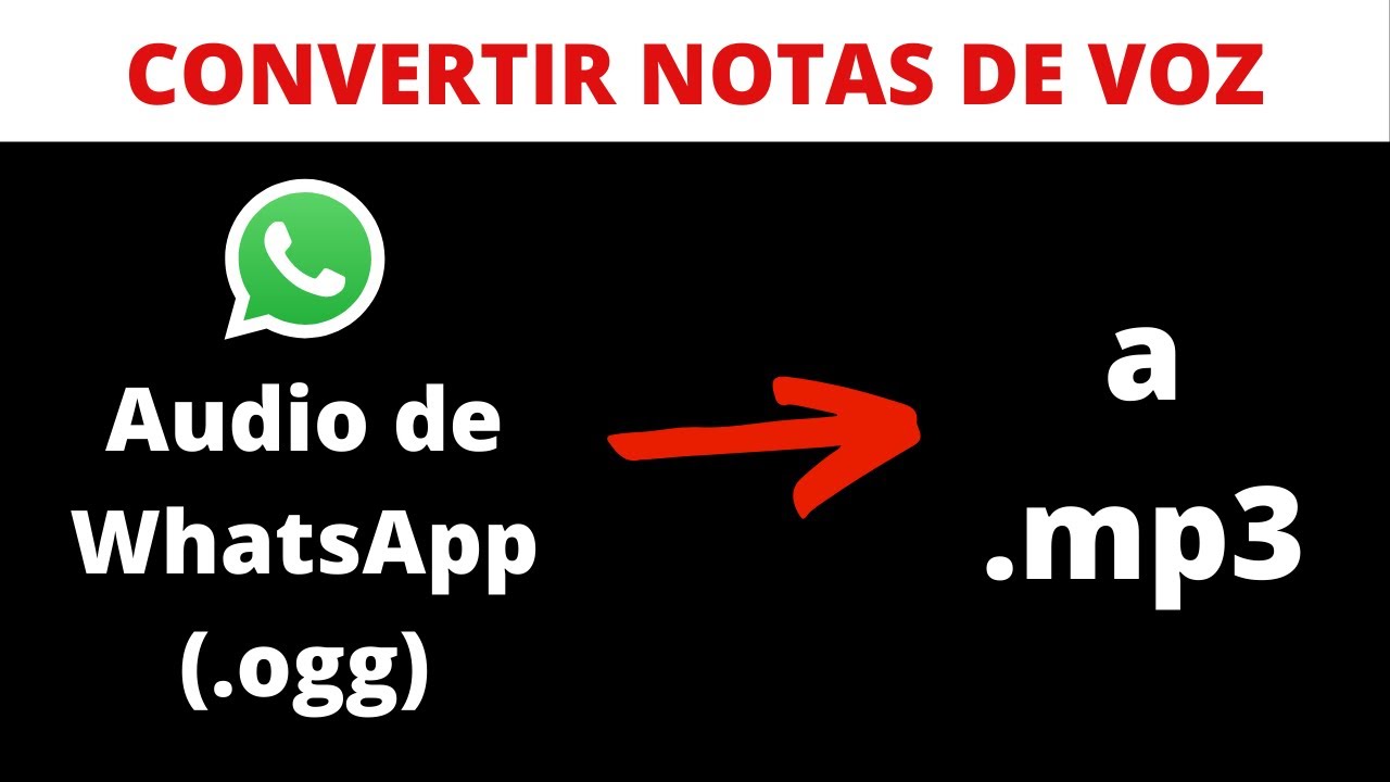 CONVIERTE AUDIO DE WHATSAPP A MP3 ¡Muy Fácil Y Gratis! YouTube