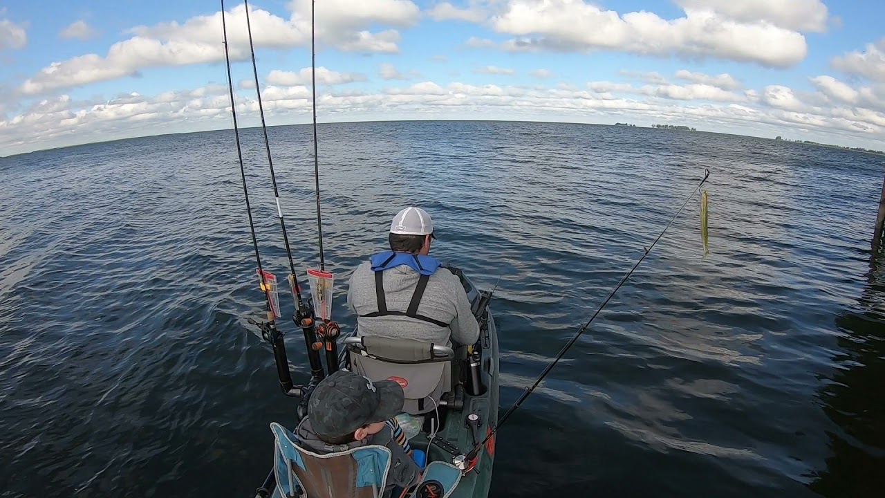 Windy day on Mitchell’s Bay