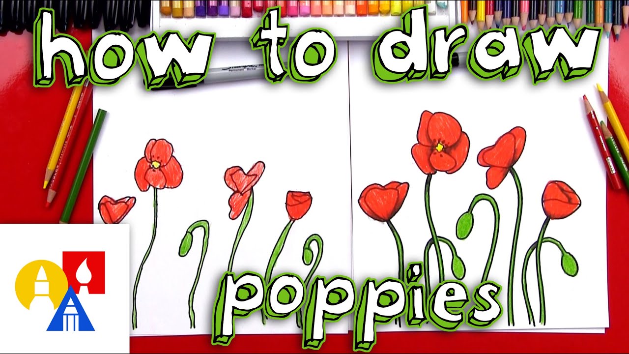 How To Draw Poppies - YouTube