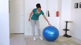 Gymnic Plus BRQ Physiotherapy Balls – KETTLER USA