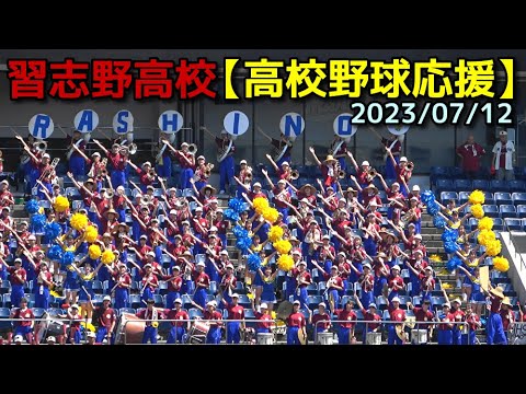 習志野高校 応援ポロシャツ2024 Lサイズ Amazon.co.jp: 習志野高校 応援ポロシャツLサイズ : おもちゃ
