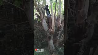 Ashuraj Comedy Video Bigo Live Video6