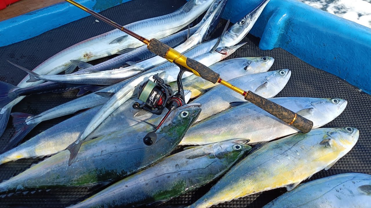 Daido Black Bison full strike