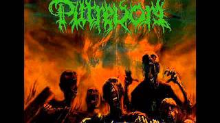 Putrevore - Obscene Devourment