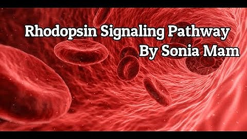 CSIR UGC NET | Rhodopsin Signaling Pathway | #BiologyAllInOne