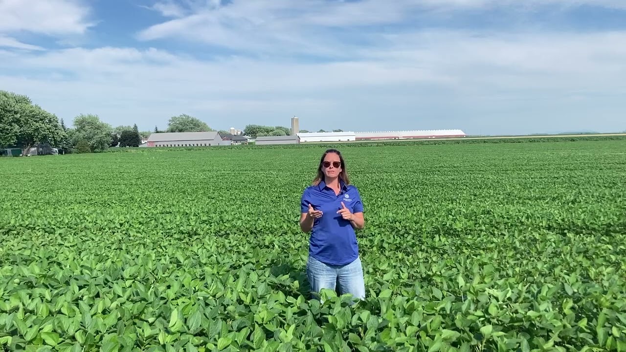 Les cinq choses les plus importantes à savoir pour réussir avec Enlist