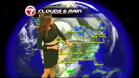 WSVN-TV Julie Durda Black and Beige Dress 1/30/2012