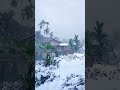 দেখুন বন্ধুরা আমাদের বাড়িতে বরফ পড়ছে আমাদের আর কাশ্মীর দেখতে হবে না 🥶#funny #vairalvidios