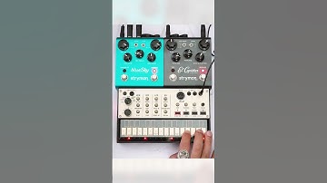 Korg Volca Keys // Ambient Pads || [Strymon blueSky + El Capistan] #shorts