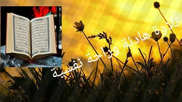 تلاوة ممتعة سورة نوح للقارئ عبدالله سمير الصباغ سبيل الهدي والرشاد