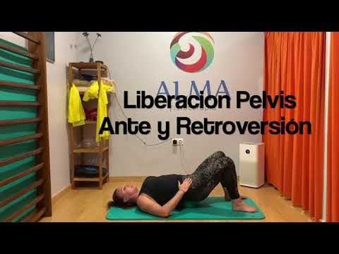 ALMA Fisioterapia y Osteopatia
