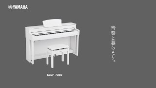 【ヤマハ×島村楽器】SCLP‐7350　ピアノ本来の表現力と弾き心地を備えたベーシックな電子ピアノ