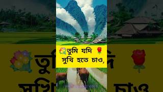 কিছু চাইবার থাকলে ?আল্লাহর কাছে চাও ☝️ আল্লাহ চাইলে সবই সম্ভব?hht/ @islamicvideo1820 ??