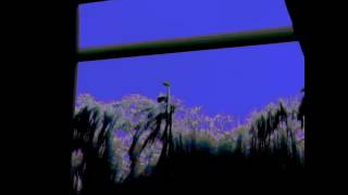 Luminancer 1 minute 1 second.
