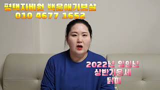 2022년 임인년 상반기운세 띠별운세 닭띠 건강만잘지킨다면 발복할수있어요 화이팅입니다