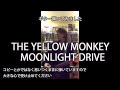 ギター弾いてみました THE YELLOW MONKEY / MOONLIGHT DRIVE