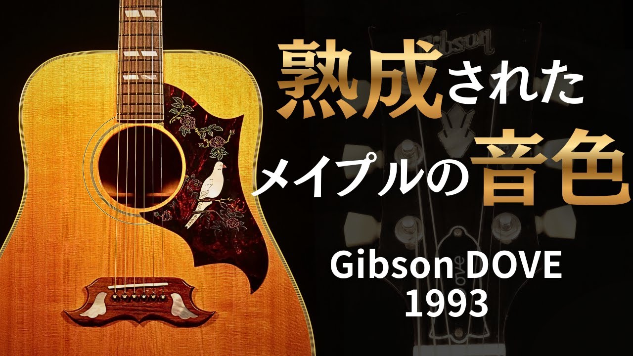 The wonderful tone of the maple [Gibson DOVE] made in 1993