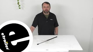 etrailer | Review of RV Designer Gas Struts - Gas Strut 20 Inch 15 LBS - RD34MR