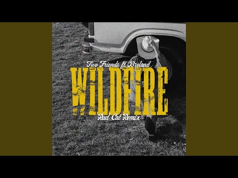 Wildfire (Rad Cat Remix)