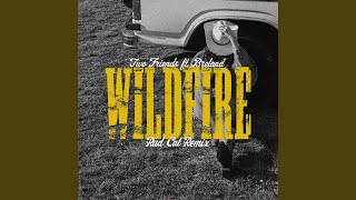 Wildfire (Rad Cat Remix)