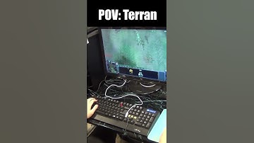 POV: Terran and Protoss in StarCraft 2