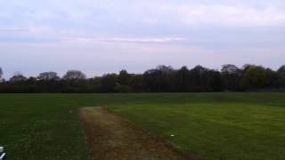 Multiplex acromaster inverted landing