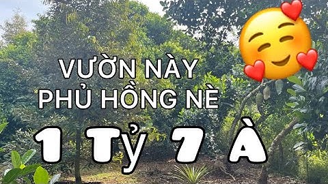 VƯỜN TRÁI CÂY VỊ TRÍ ĐẸP ĐANG HÓT MÀ GIÁ RẺ NÈ /Bấtđộngsản #ban #đất #nhà #vườn #tubds 