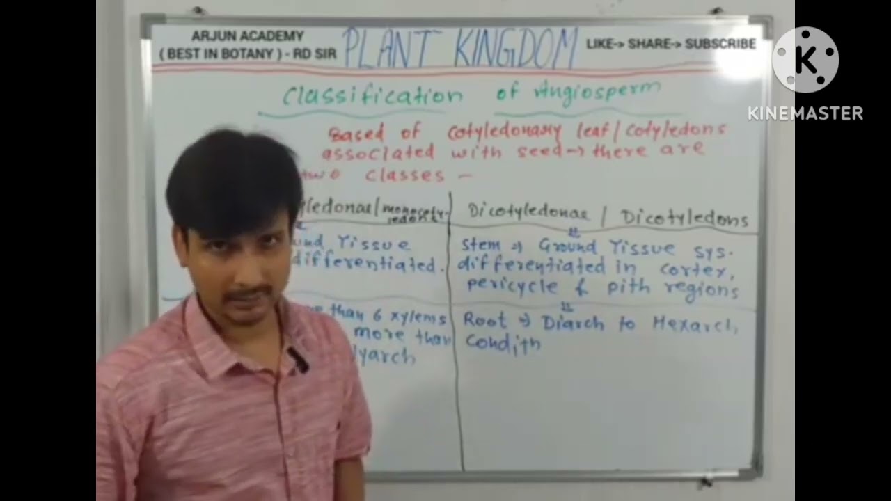Monocots vs. Dicots / Detailed Differences