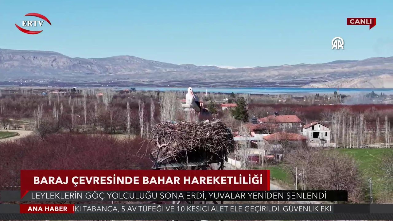 CANLI ANA HABER / 10.03.2026