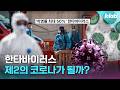 치사율 최대 50% 한타바이러스, 우리나라는 괜찮을까?｜크랩
