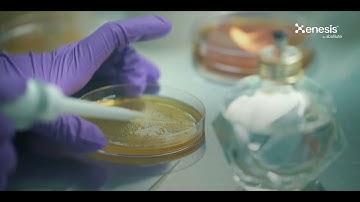 Xenesis | Taking Humanity Forward