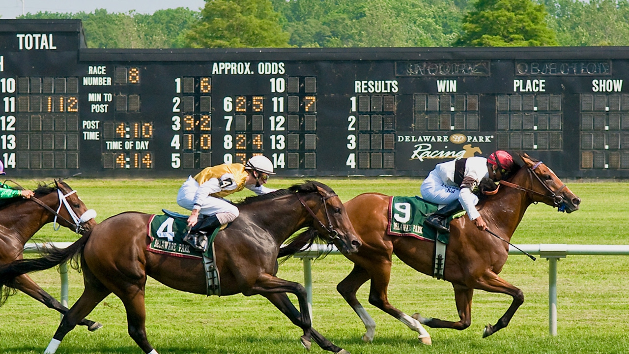 Delaware Park Live Stream YouTube