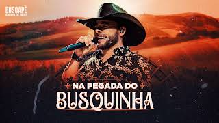 Peão de vaquejada -  CD NA PEGADA DO BUSQUINHA