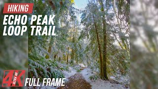 Winter Forest Hike along Echo Peak Loop Trail for Treadmill Workout - 4K Full Frame Nature Scenery