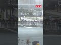 🦈 UN TIBURÓN QUEDÓ ATRAPADO EN UN CANAL EN COREA Y AHORA ATRAE A MILES DE TURISTAS