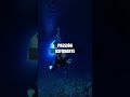 🌊🐋✨Lo que NO sabías del Océano🌊🐋✨