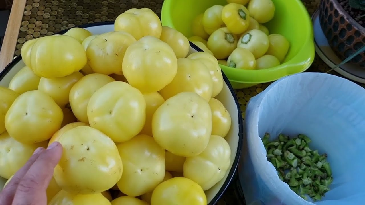 Hordós, vedres savanyúság - almapaprika