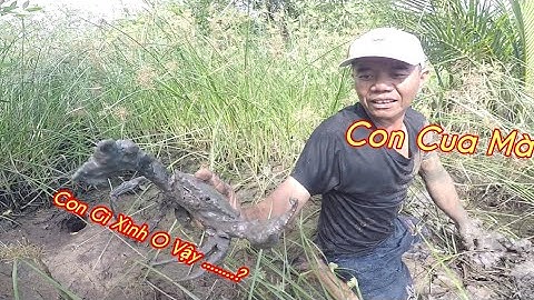 Cắm Câu Cá Thòi Lòi Biển Cần Giờ Tập 12 Chuyến Đi Thất Bại Mà Cũng Có Ăn