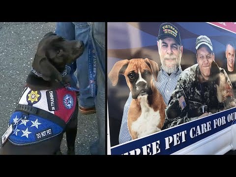 Video: Pet Scoop: Service Pup, vernoemd naar WO II-dierenarts, AKC Names America's Top Dog Breeds