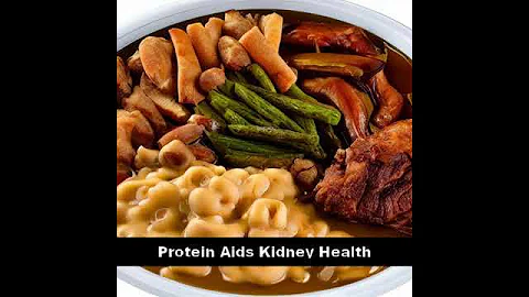 Are High Protein Diets Bad for Your Kidneys?