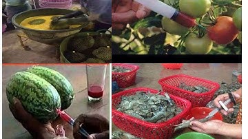 GDCD 8 - PHÒNG NGỪA TAI NẠN VỤ KHÍ CHÁY NỔ VÀ ĐỘC HAI