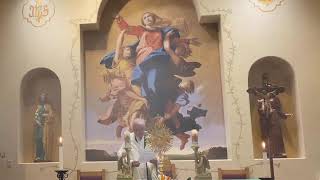 HORA SANTA 02/12/26. Jueves de la V semana del tiempo ordinario