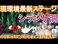 現環境最新ステージ【にゃんこ大戦争】シランケ洞 ノーアイテム簡単攻略 アリ=エヘン