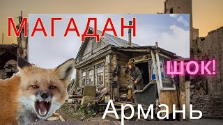 Дальняк/МАГАДАН-АРМАНЬ/НАПАДЕНИЕ ЛИСИЦЫ НА ЛАГЕРЬ