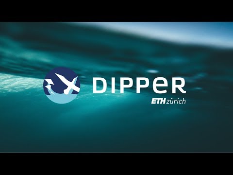 Focus Roll-out 2019 - Presentation Dipper