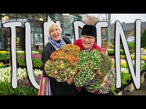 Video: Tulpen sind verwelkt. Was macht ein Florist?