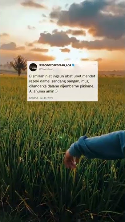 jangan lupa ngopi pagi hari masze