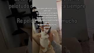 Te amo mucho gato pelotudo 🥹❤️