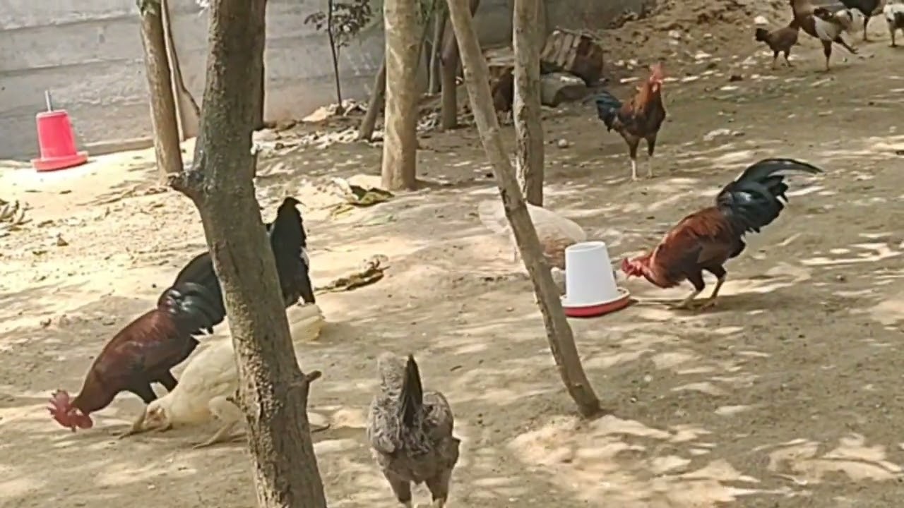 இதுவரை யாரும் சொல்லாத உண்மை. 