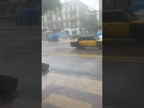 غريب جدا اسماء نوات اسكندريه تصوير في منطقة المنشية معلومات عن النوات2024 